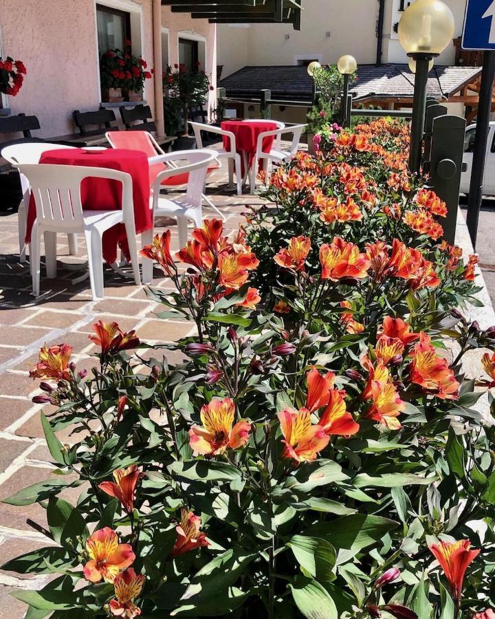 Hotel Zeni